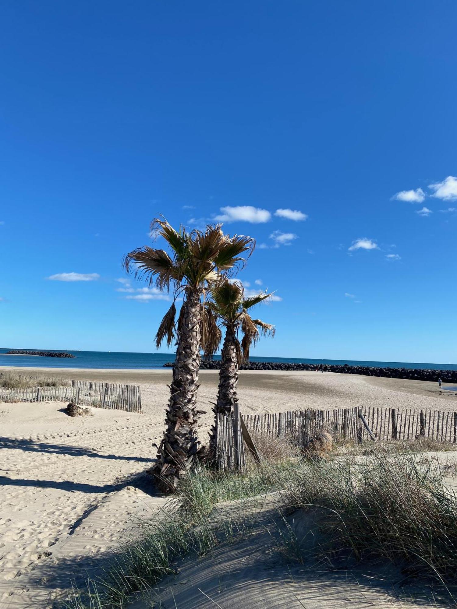 Appart - T3 - 6 Personnes - Golf Cap D'Agde Zewnętrze zdjęcie